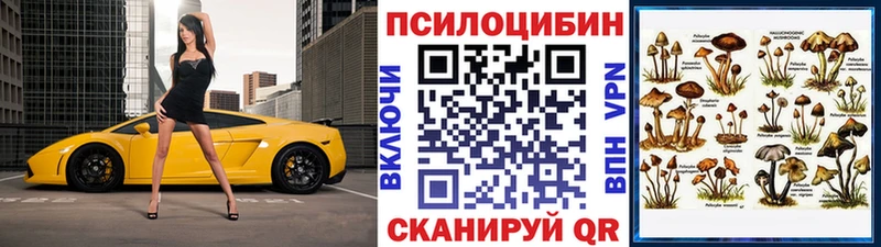 Галлюциногенные грибы прущие грибы  Купить  Грязовец 